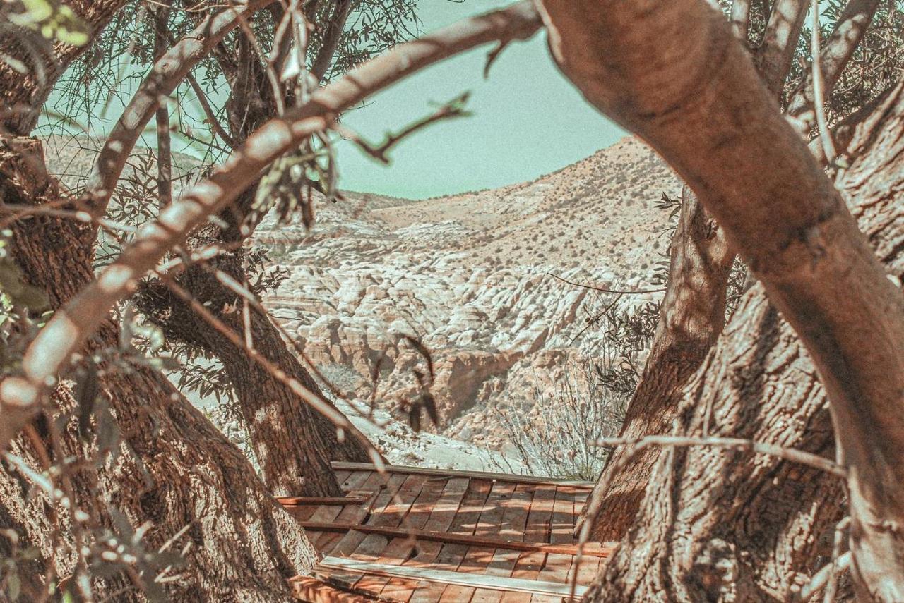 Hobbit Village Dana Exterior foto